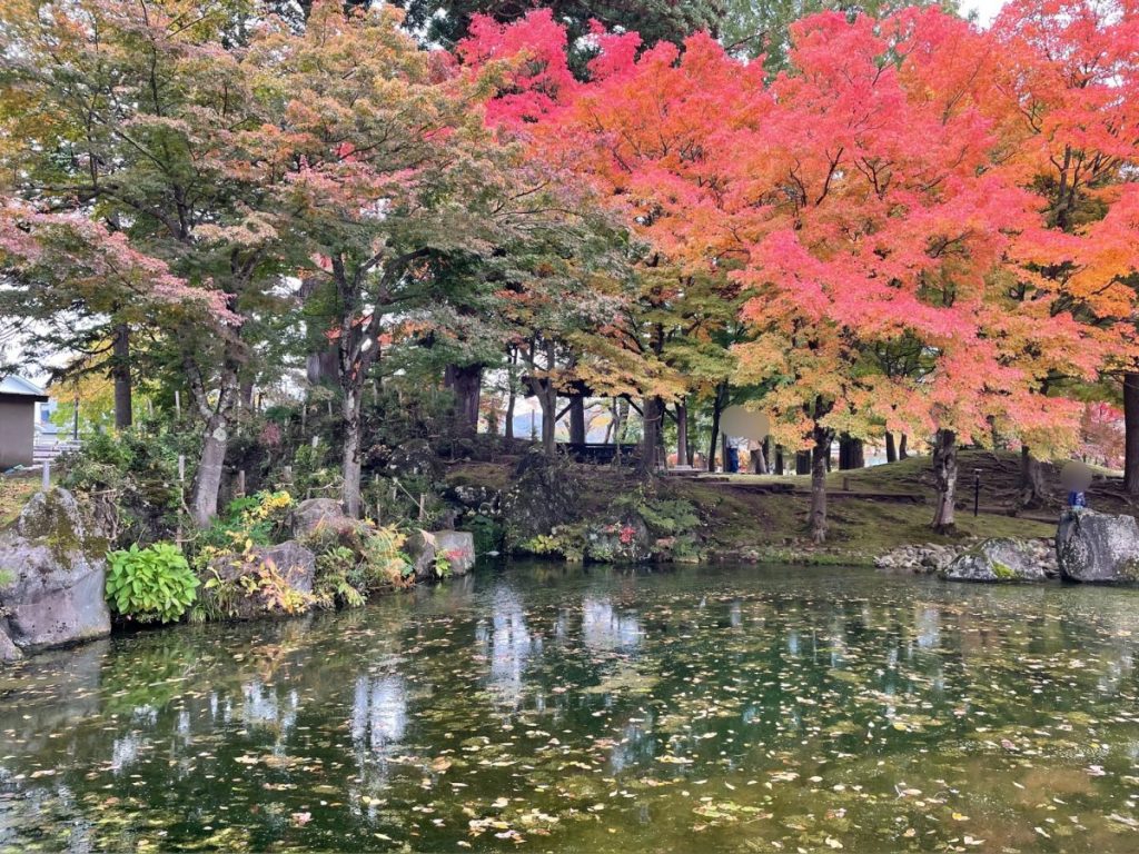 秋田の紅葉 W スタッフブログ 東北醤油株式会社